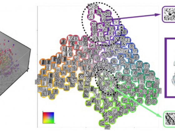 Graphic showing figures from article. 